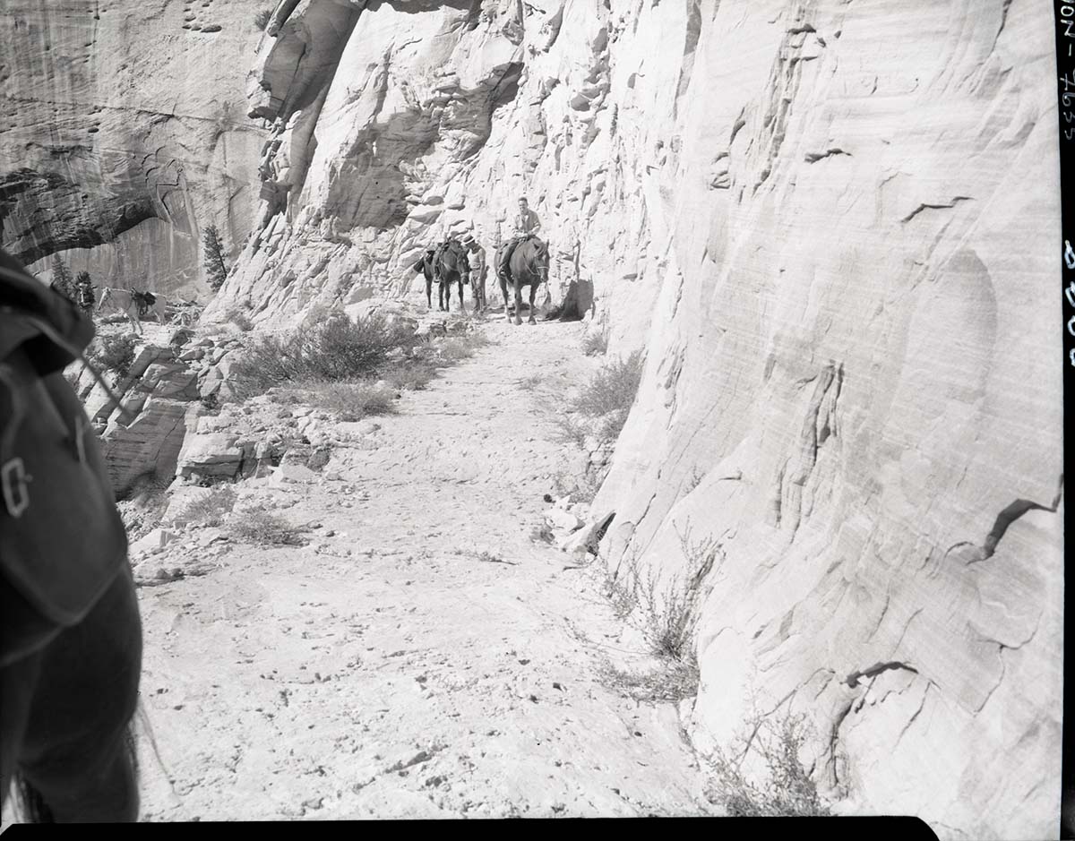 Completed paving of West Rim Trail near shelter cabin with horseback riders.