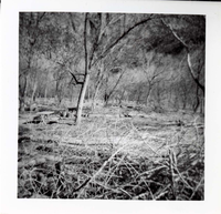 Cleaning and clearing in campground area.