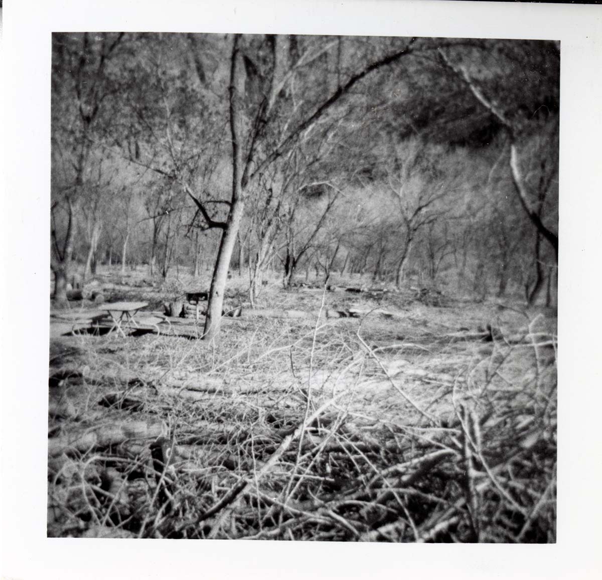 Cleaning and clearing in campground area.