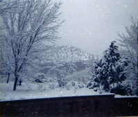 Color Photos of Zion Canyon.
