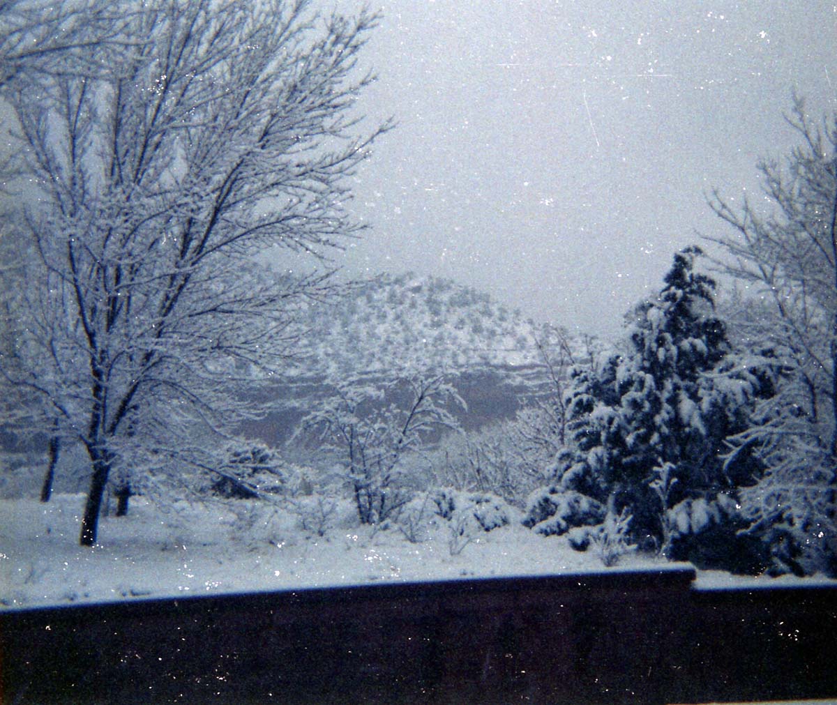 Color Photos of Zion Canyon.
