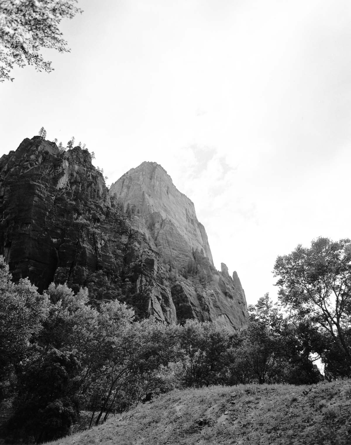 The Great White Throne from near the Temple of Sinawava.