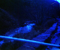 Color Photo of the Sentinel rock slide.