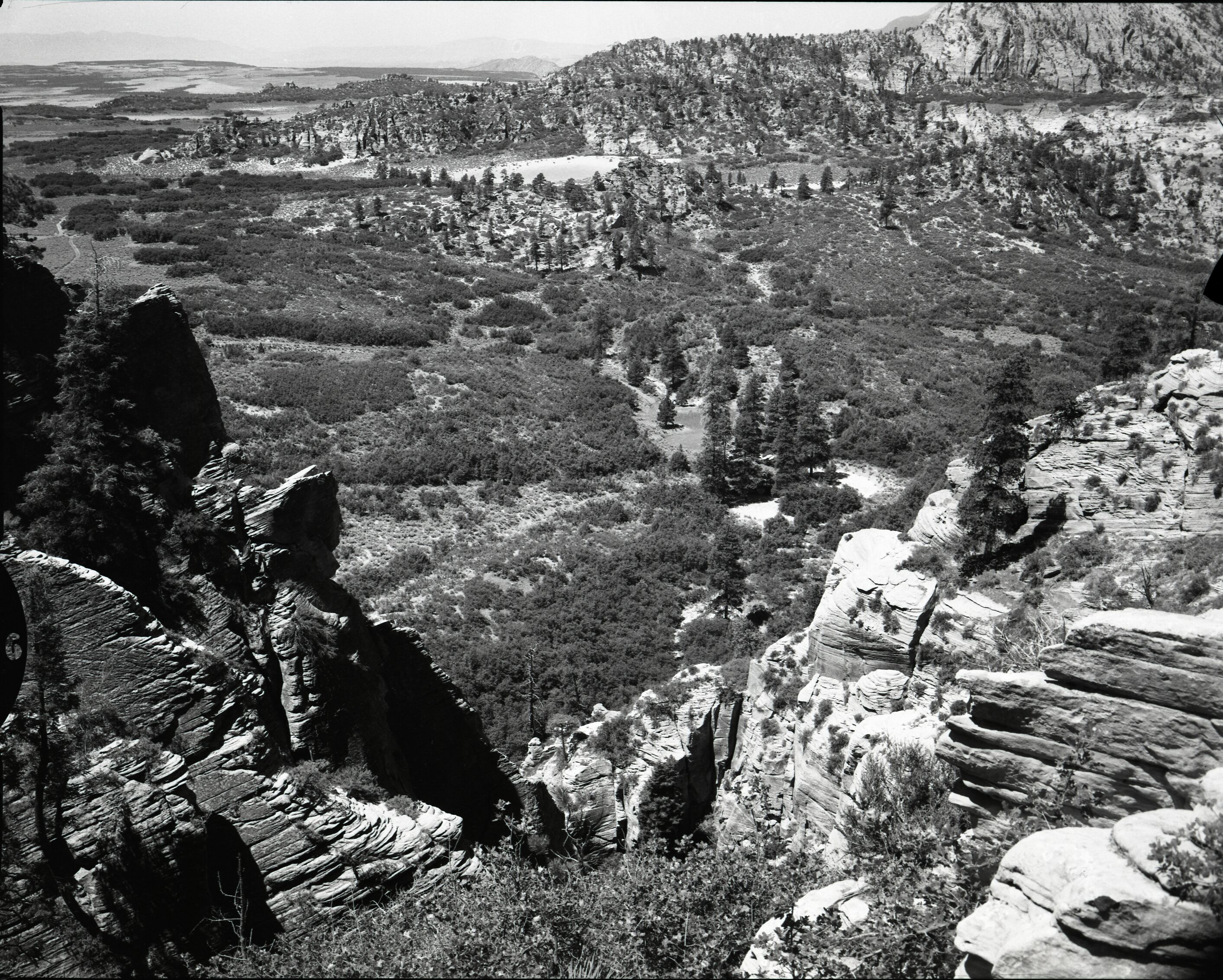 Record of vandalism, a half mile west of Neck Spring, Lee property beyond pine trees. Water matters involving Evan S. Lee.