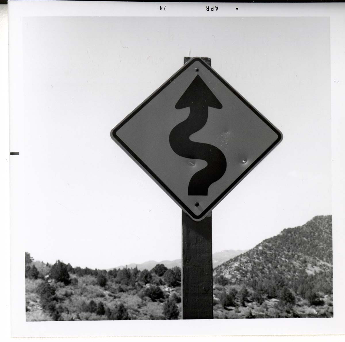 Winding road ahead in Kolob Canyon.