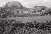 BW photo of the 1937 grazing study 35MM. Photo of large cleared area in southern Lee Valley.