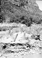 Tree planting and willow 'spider' jetties to deposit sediment and deflect river flow to right, near Union Pacific Sewer farm.