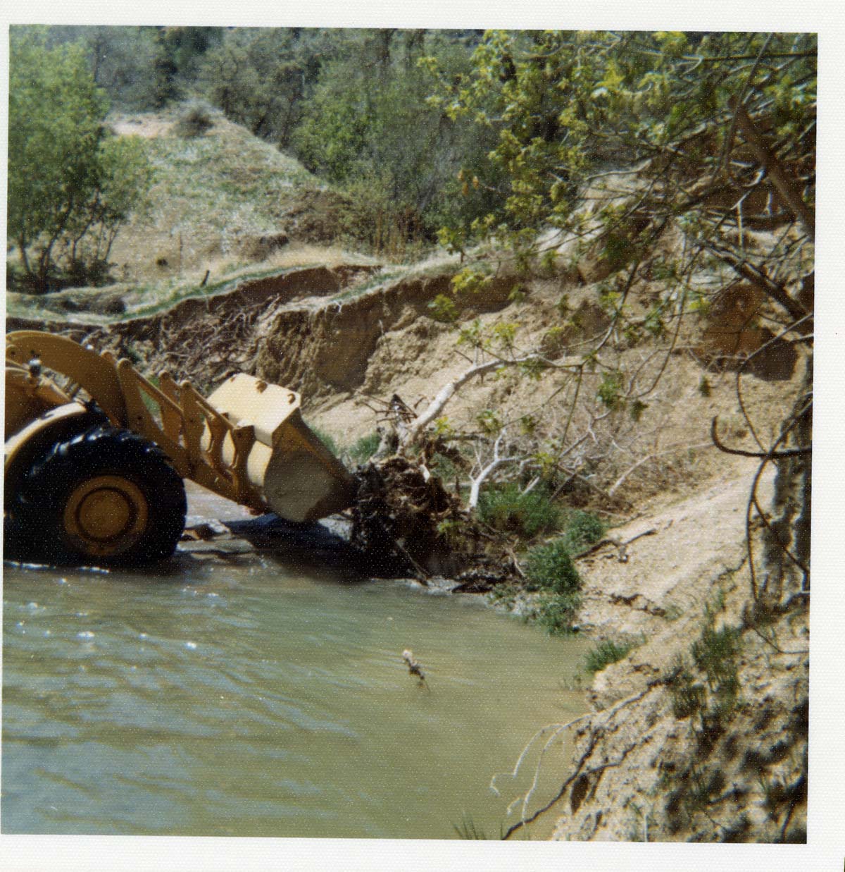 Color photos of channel clearing and bank stabilization along the Virgin River near Birch Creek.