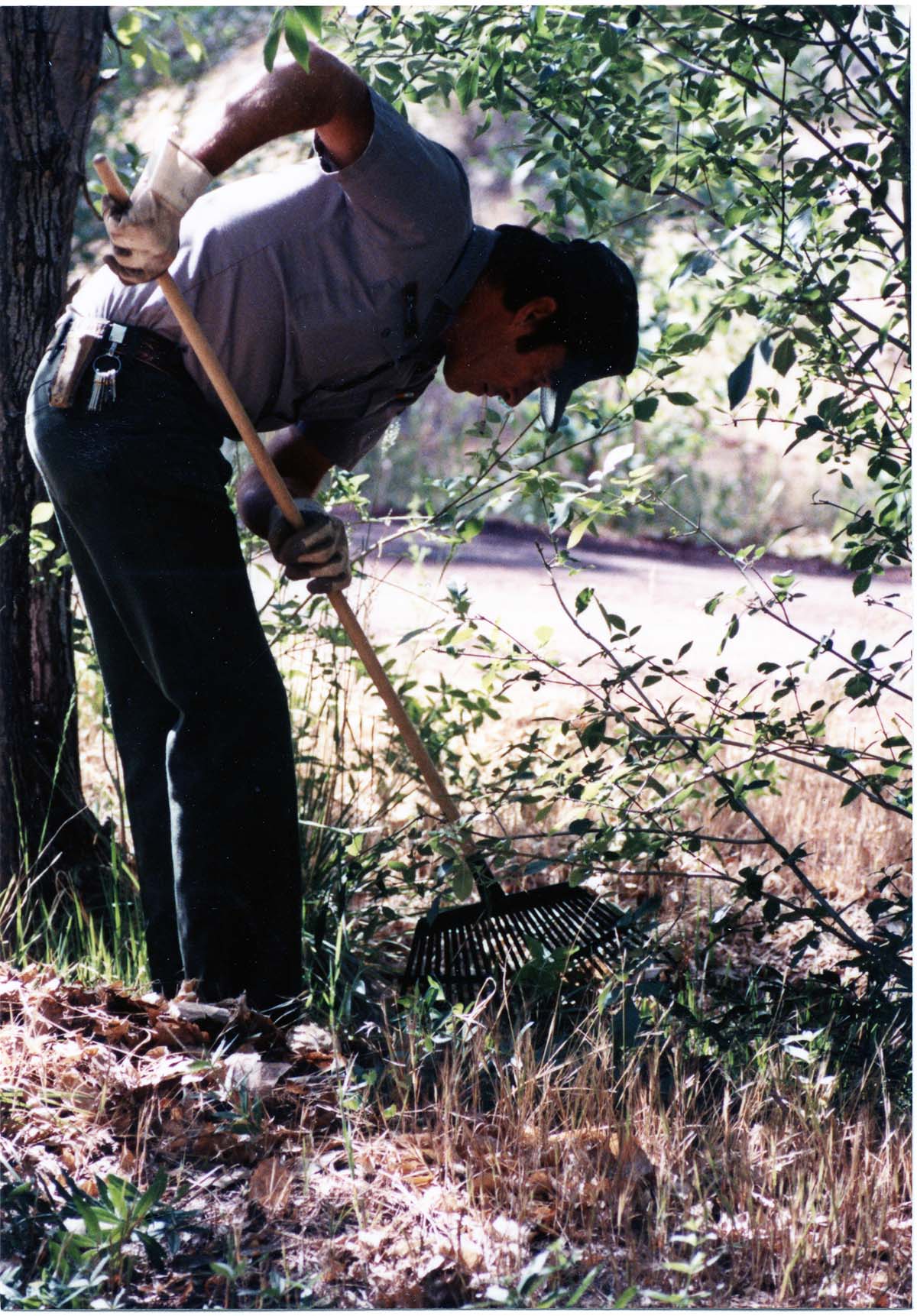 NPS employee picking up litter in campground area.