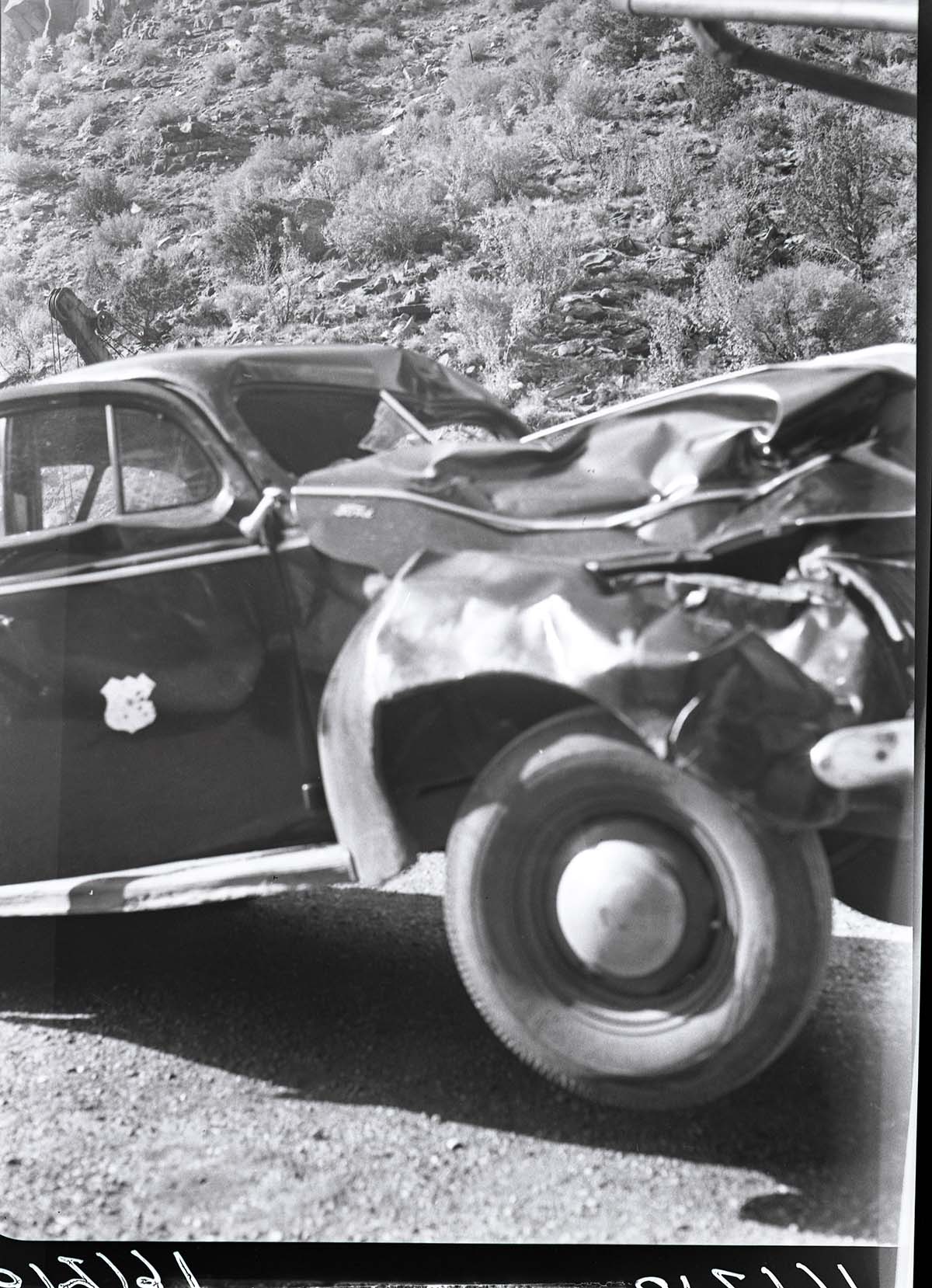 Damage to park vehicle (Chief Ranger's car) after hitting horse.