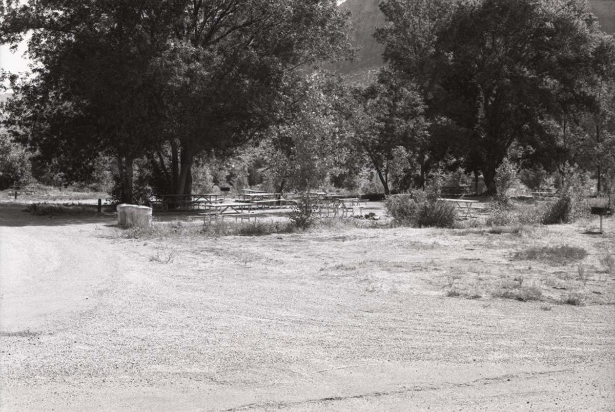 Campsites with picnic tables and grills at the Watchman Campground.