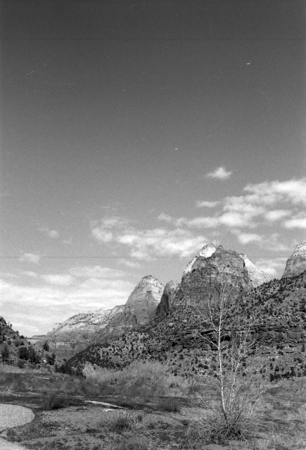 BW Photos of Zion Canyon. 35mm.