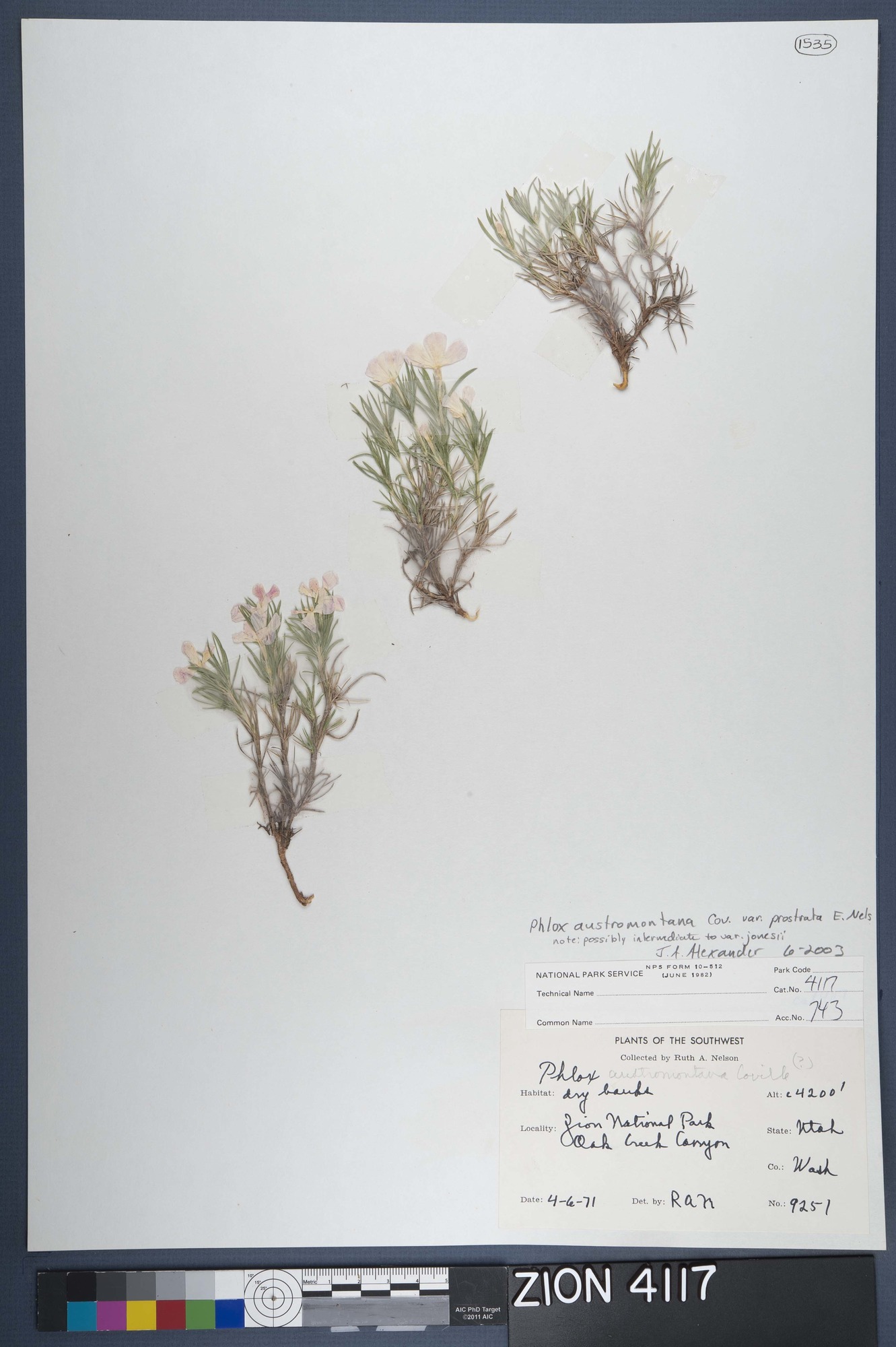 Herbarium Specimen Sheet 4117