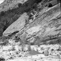 Dinosaur tracks in slabs of Kayenta formation on left hand fork of North Creek, section 23, T 40 S, R 11 W.