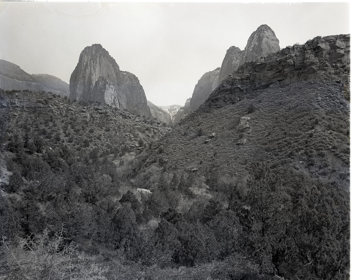 Looking up Middle Fork of Taylor Creek for proposed road construction. [Kolob Canyon]