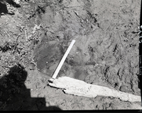 Vandalism of natural resources at Neck Spring, largest of two large seeps. Water matters involving Evan S. Lee.