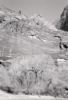 BW Photos of Weeping Rock - 35mm.