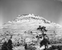 Cross bedding planes in the Navajo sandstone along East Entrance road.