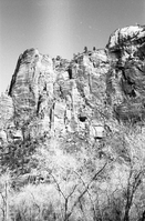 BW Photos of general interior views of Zion Canyon - 35mm.