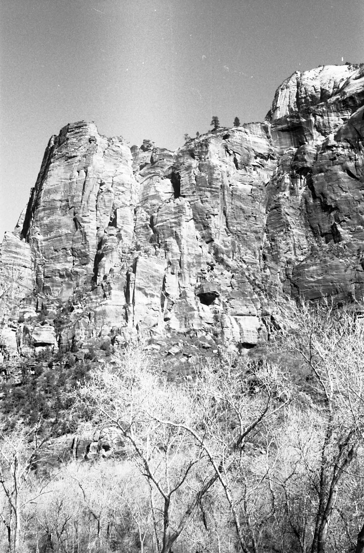 BW Photos of general interior views of Zion Canyon - 35mm.