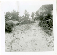 General view of the East Rim trail.