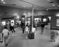 Interior of the Zion Museum space with visitors and children looking at exhibits.