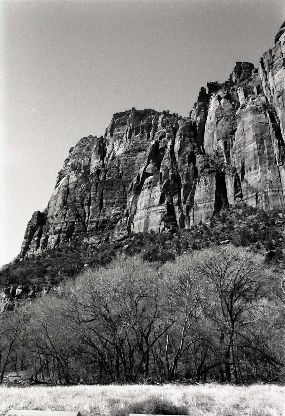 BW Photos of general interior views of Zion Canyon - 35mm.