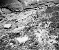 Rubble pile at base of canyon wall after rock slide. Birch Creek.