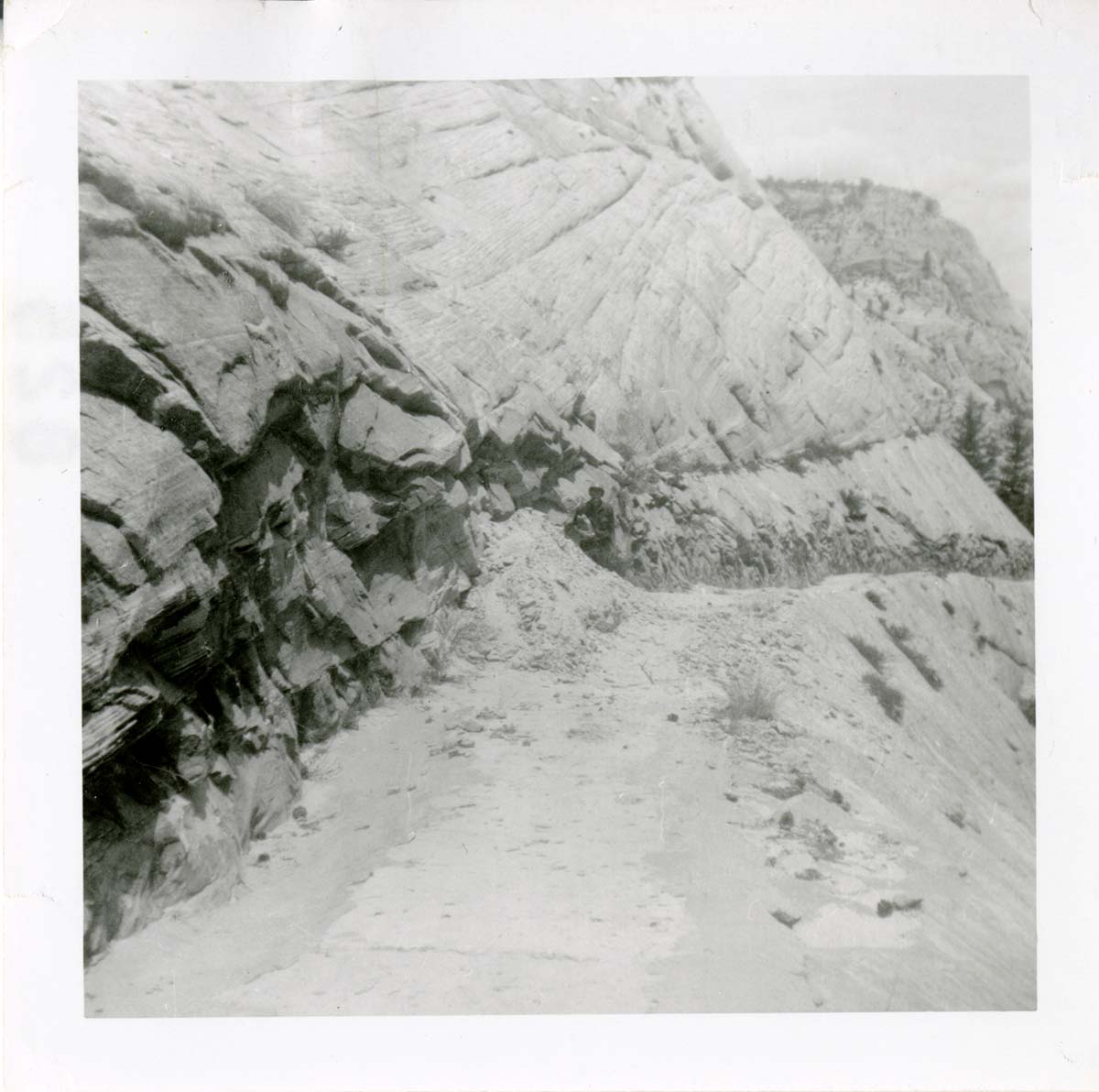 General view of the East Rim trail.