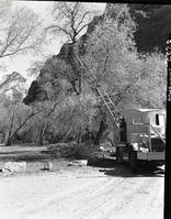 Crane being used in pruning cottonwoods in Grotto Campground.