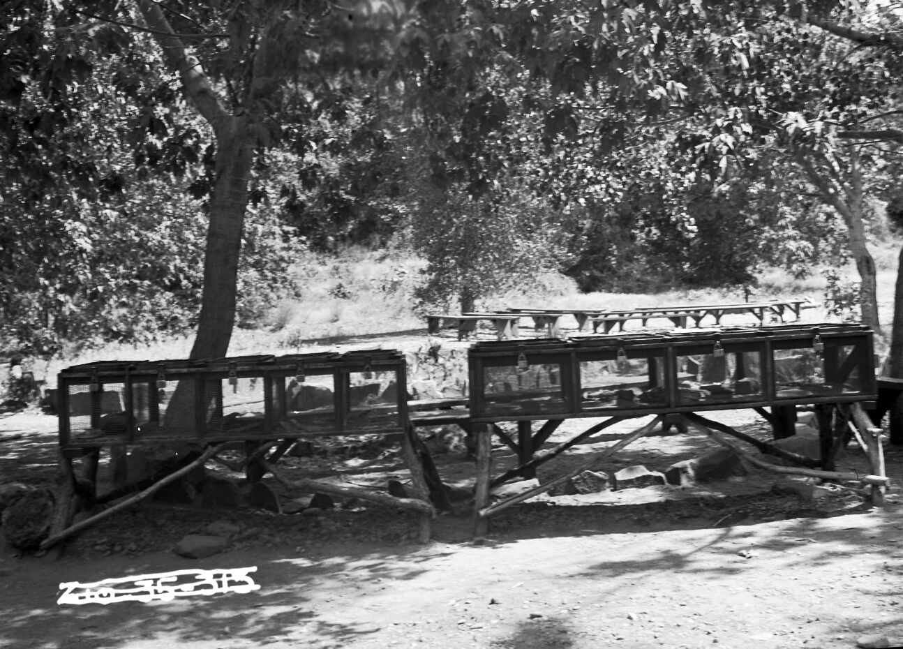 The reptile cages at the Zion Museum, then located at the Grotto.