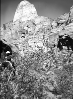 Gregory Butte - view from Hop Valley. Horse and rider in far left of photo.
