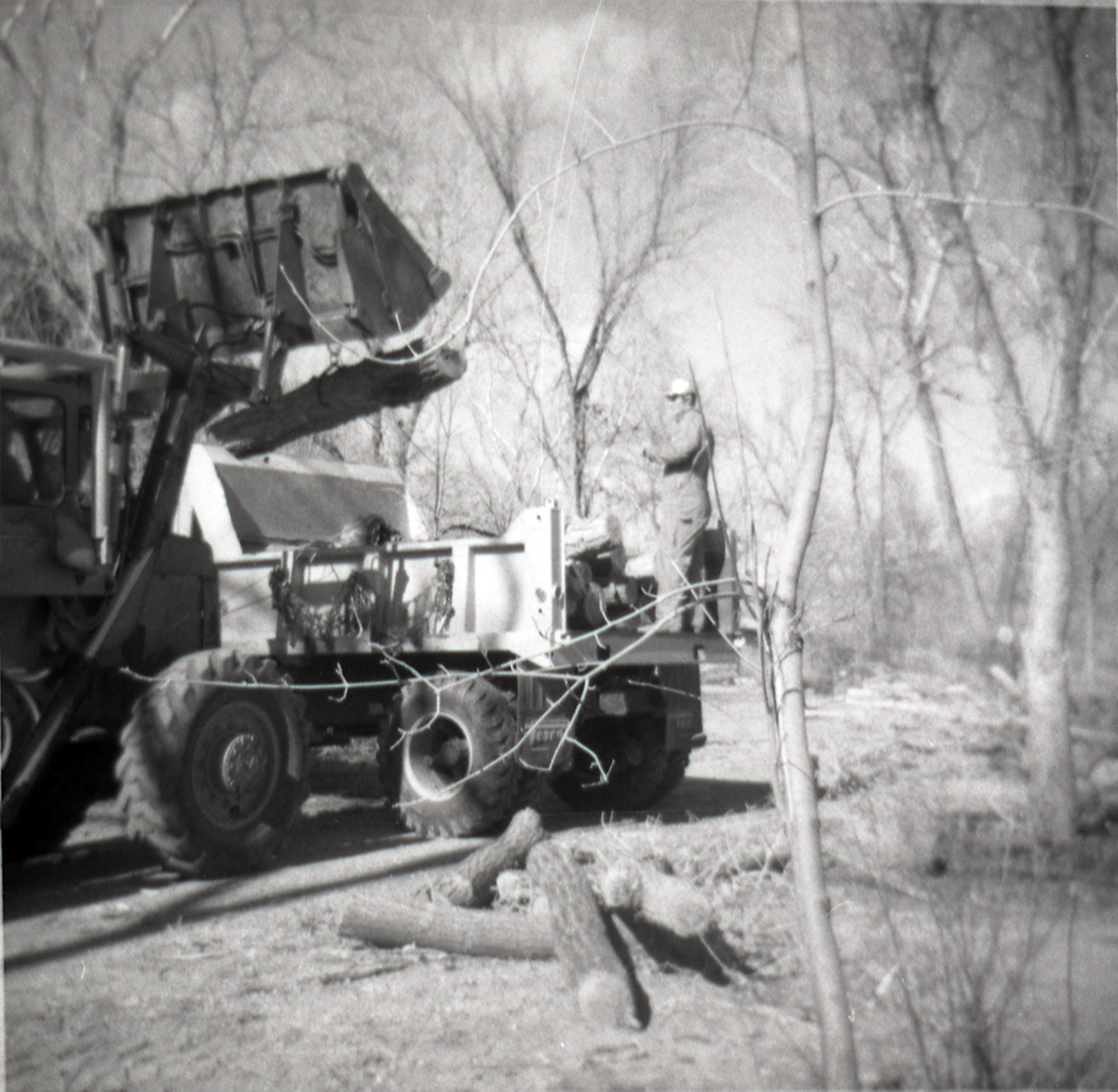 Men working using excavator and truck to load and haul logs along the scenic canyon drive near the Grotto.