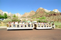 Color Photos of the parks 72nd anniversary celebrations- cake cutting, barbecue, speakers.