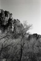 BW Photos of general interior views of Zion Canyon - 35mm.