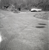 Fork in the road near the Temple of Sinawava.