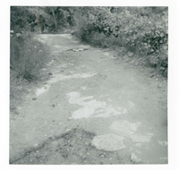 The West Rim trail half tunnel maintenance/stabilization.