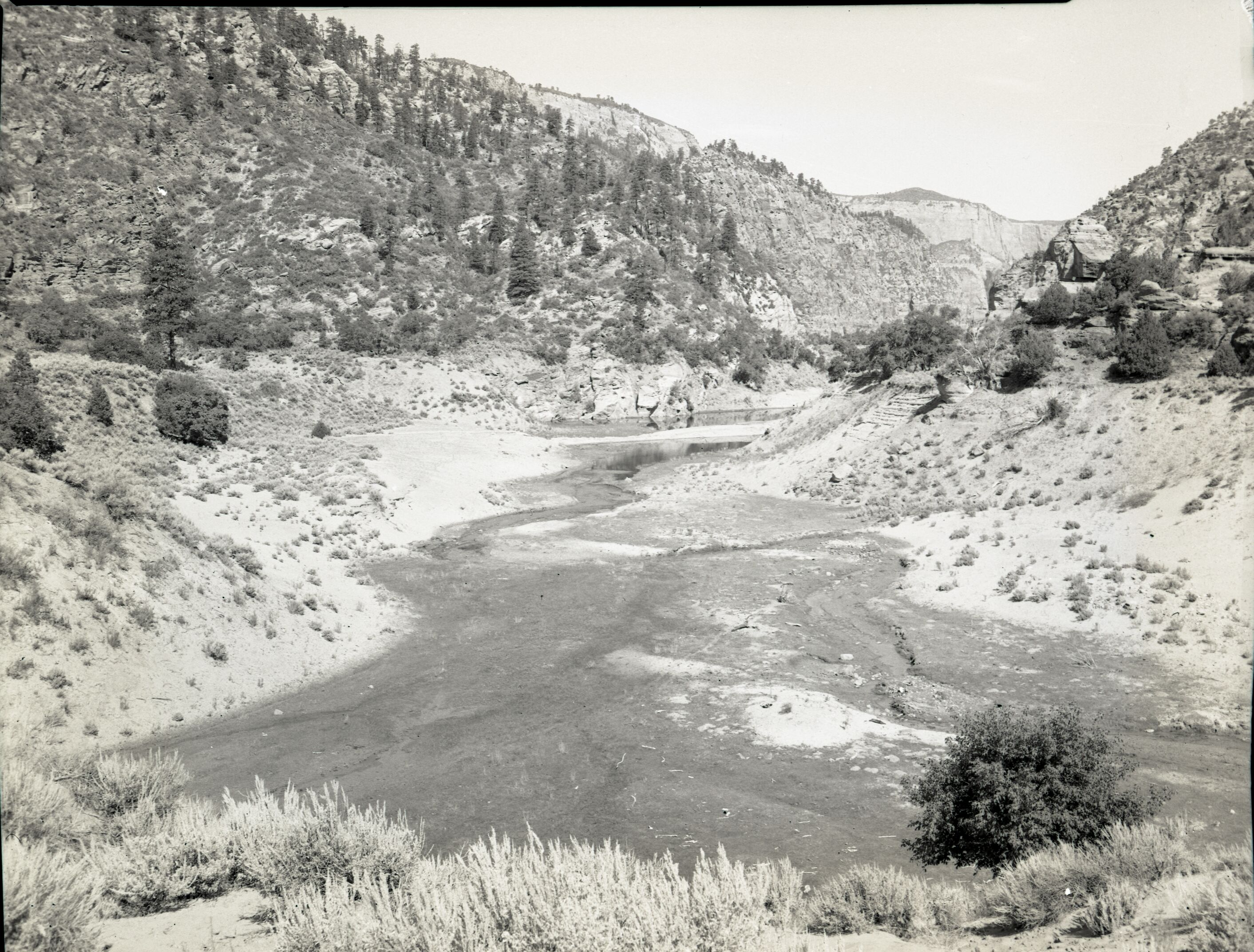 Water use in Hop Valley: irrigation, improper land use, and overgrazing to refute water diversion rights claim under grazing permit.