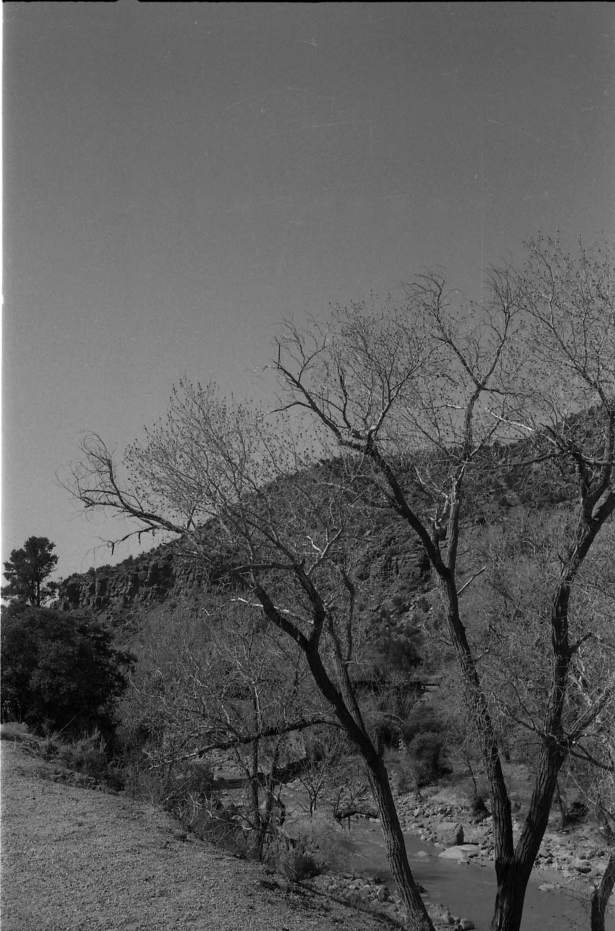 BW Photos of Zion Canyon. 35mm.