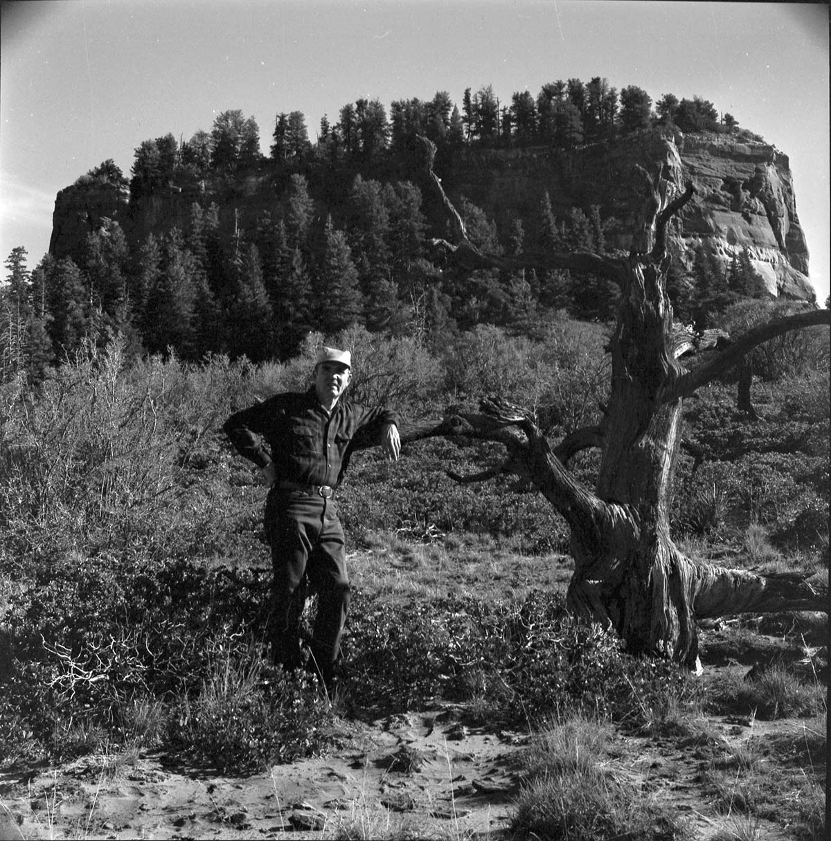 Helicopter flight to study Temple Cap formation for geology book