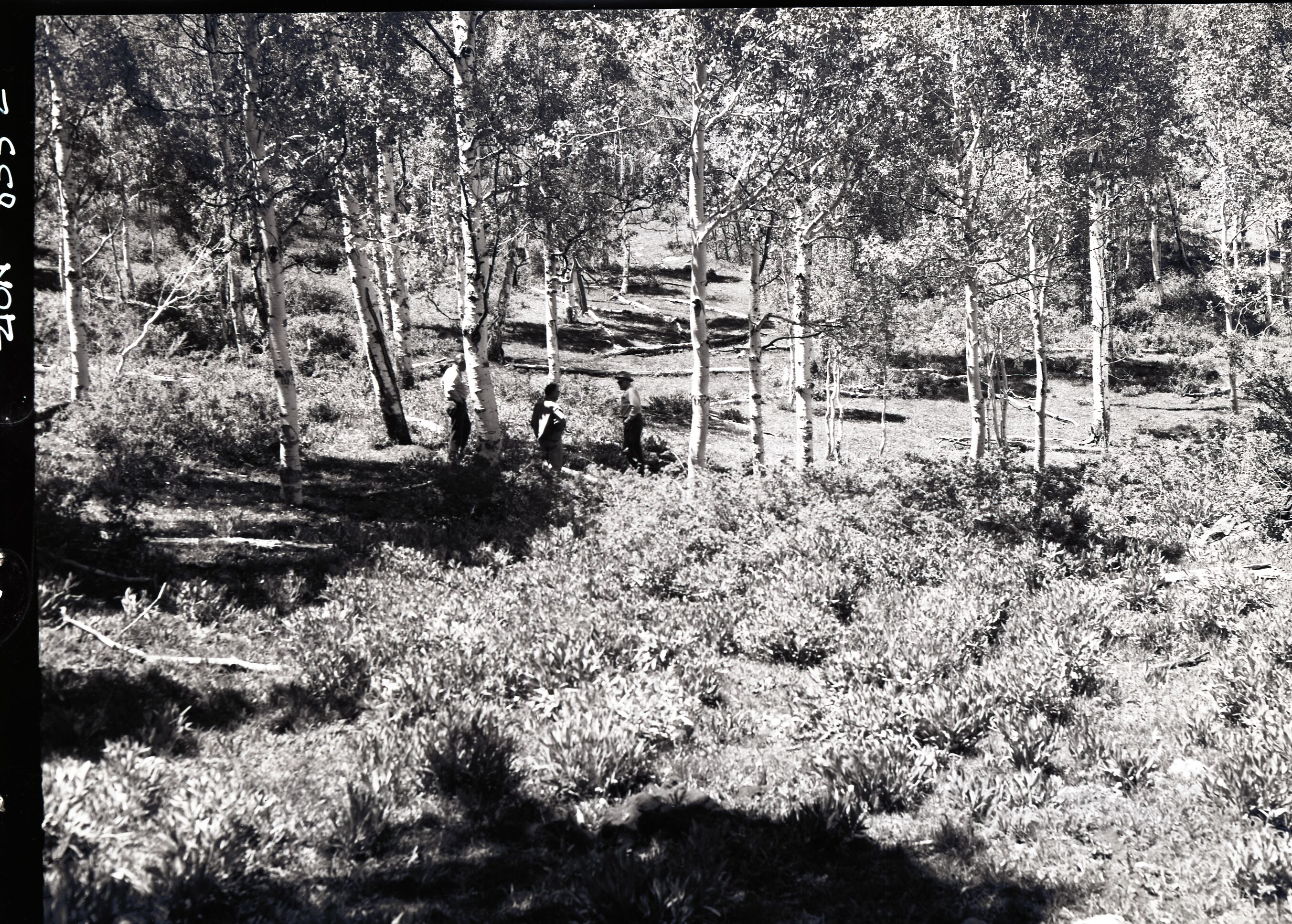 Developments on private land within Zion National Park near Lava Point.
