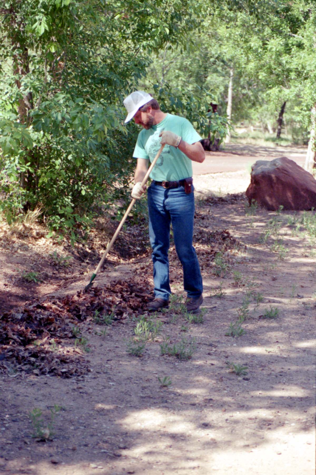 NPS employee picking up litter in campground area.