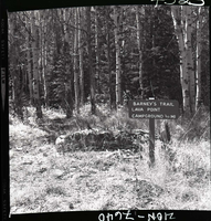 Sign on West Rim Trail with mileage to Lava Point Campground.
