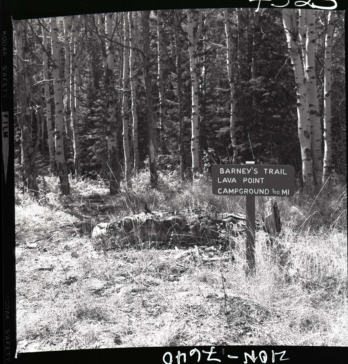 Sign on West Rim Trail with mileage to Lava Point Campground.