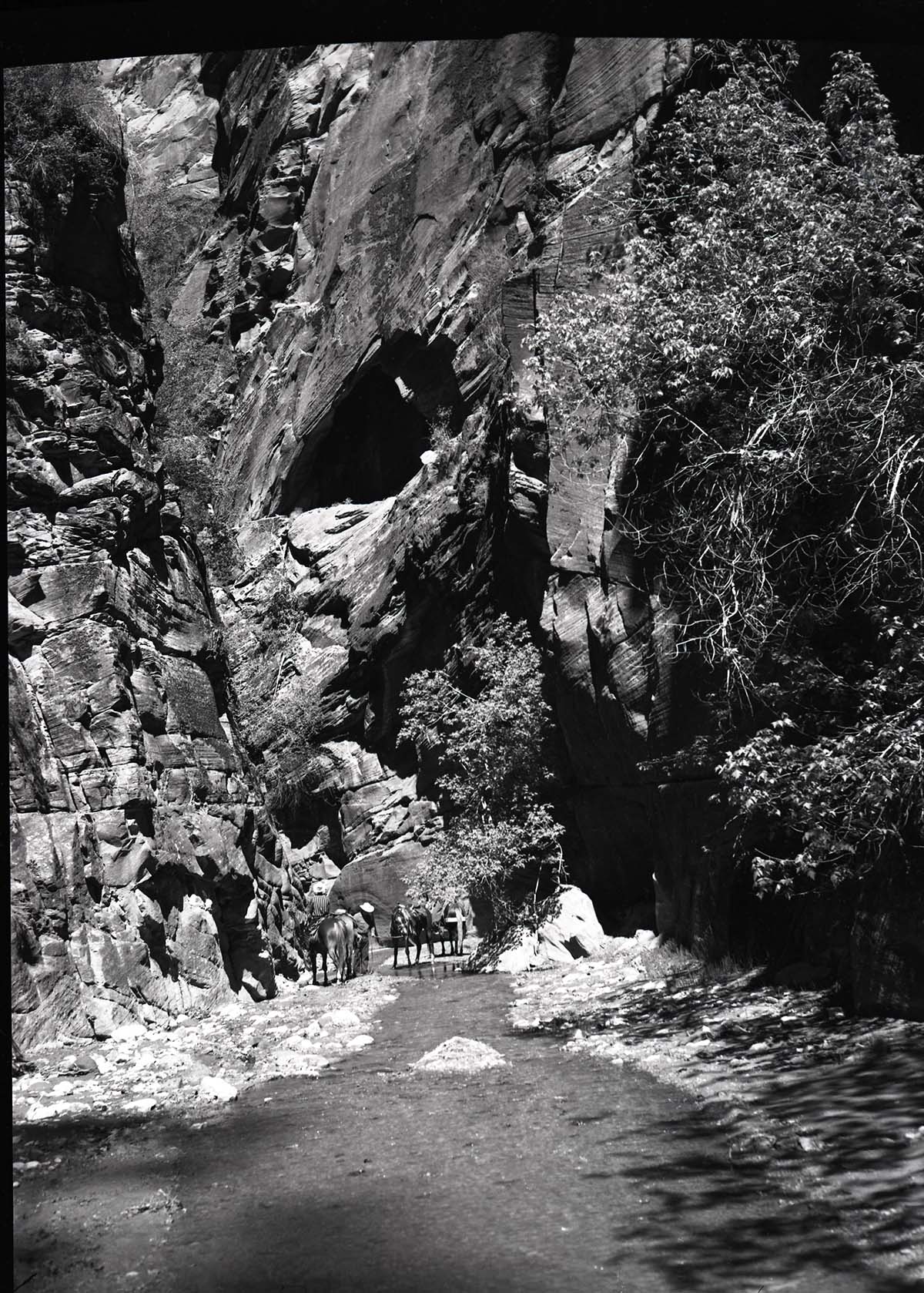 Inspection trip into Kolob area. Inspection party going up Bear Trap Canyon.