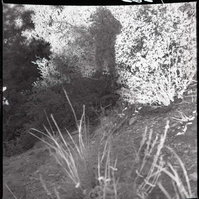 Site of motorcycle accident above small tunnel.