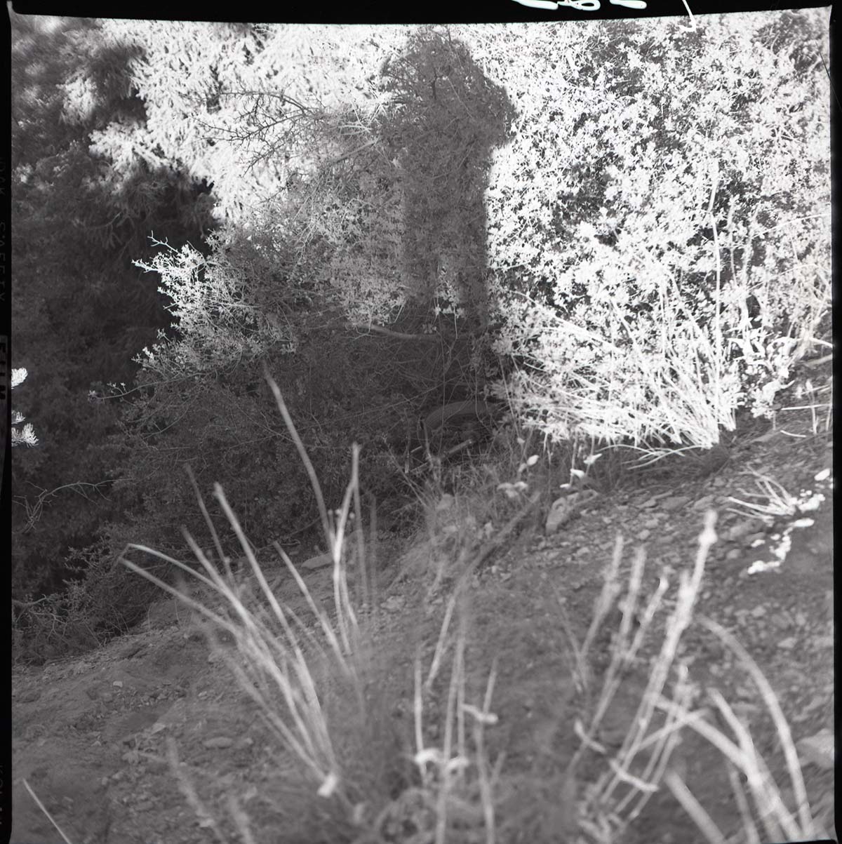 Site of motorcycle accident above small tunnel.