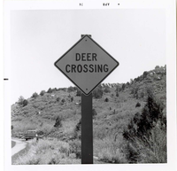 Road sign reading 'Deer Crossing' in Kolob Canyon.