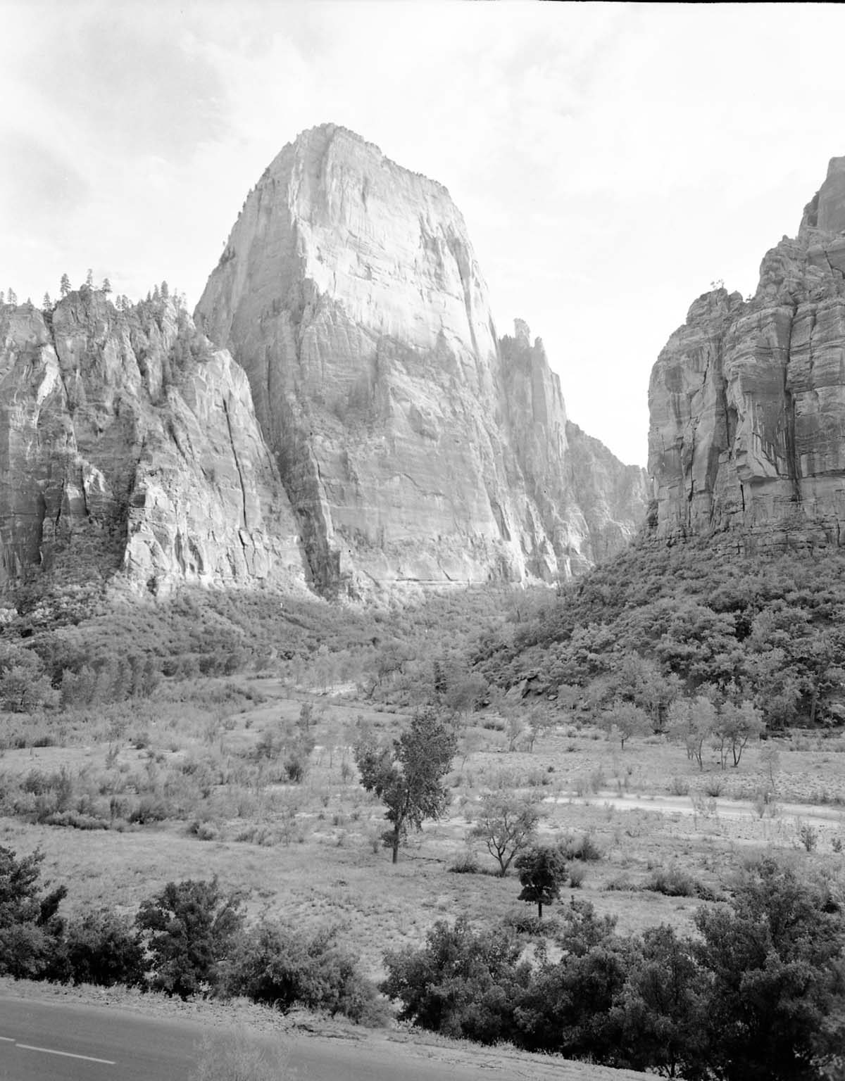 The Great White Throne from across the canyon floor, road in foreground.
