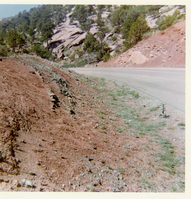 Color photo of the completion of the Kolob Canyon Road hydroseeding experiment.